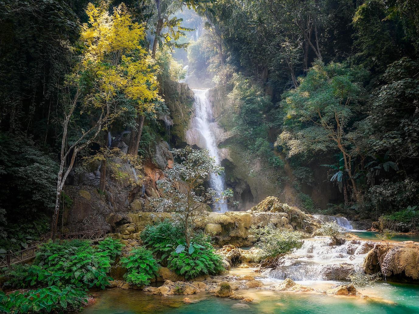 A waterfall in a forest AI-generated content may be incorrect.